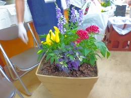 P1100350.jpg