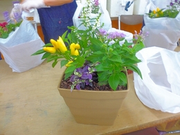 P1100351.jpg