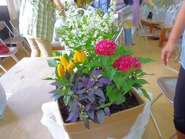 P1100352.jpg