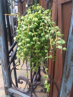 201808306197.jpg