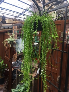 201808306202.jpg