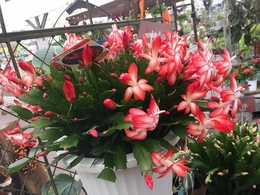 201809136353.jpg