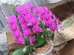 201809136375.jpg