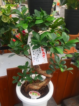 201809136423.jpg