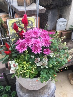 20180913642902.jpg