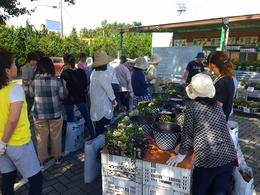 201809226483.jpg