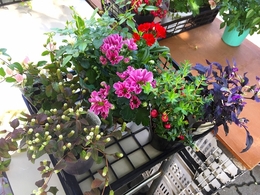 201809226501.jpg