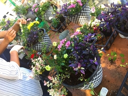 201809226527.jpg