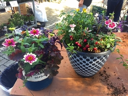 201809226585.jpg