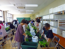 201809270643.jpg