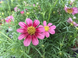 201809296704.jpg