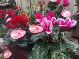 201810026755.jpg