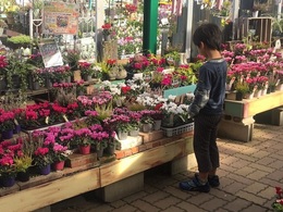 201810277154.jpg