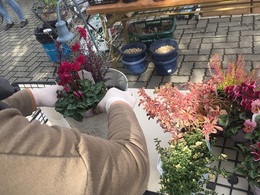 201810277172.jpg