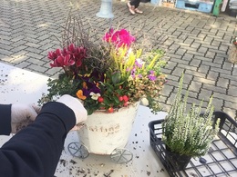 201810277186.jpg