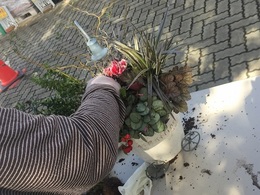 201810277189.jpg