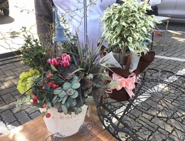 201810277230.jpg