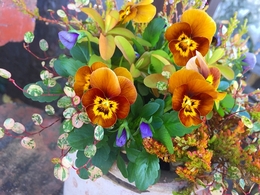 201811067391.jpg
