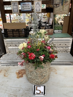 201811170119.jpg
