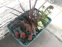 201811177725.jpg