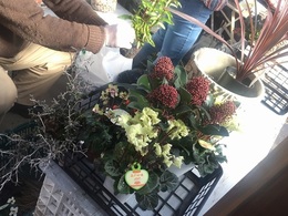 201811177746.jpg