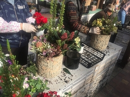 201811177763.jpg