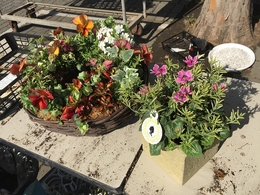 201811248065.jpg