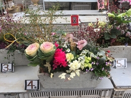201812228776.jpg