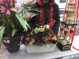201812228820.jpg
