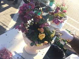 2019011943702.jpg