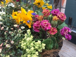 201901269206.jpg