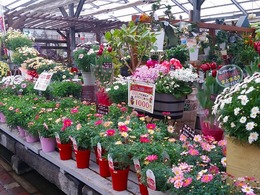 20190211_101143.jpg