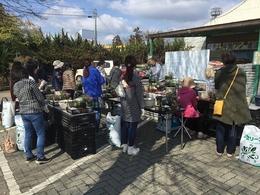 201903160662.jpg