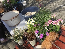 201903160667.jpg
