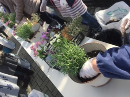 201903160686.jpg