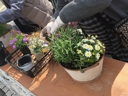 201903160718.jpg