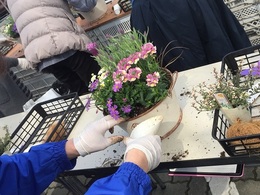 201903160725.jpg
