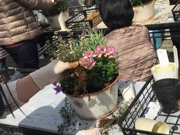 201903160735.jpg