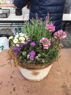 201903160762.jpg