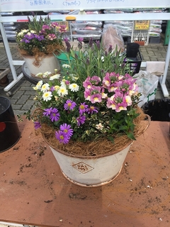 201903160766.jpg