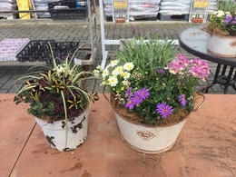201903160771.jpg