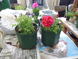 201903191110205.jpg