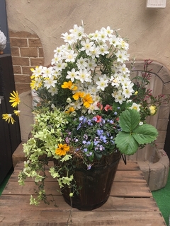 201903230101.jpg