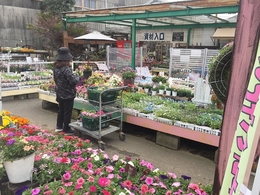 201903231091.jpg