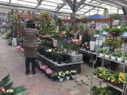 201903231093.jpg