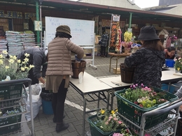 201903231094.jpg