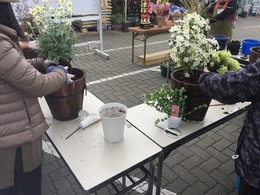 201903231104.jpg