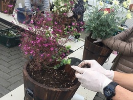 201903231106.jpg