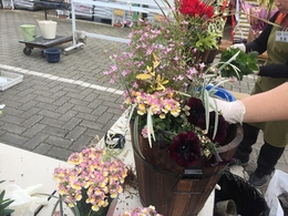 201903231110.jpg