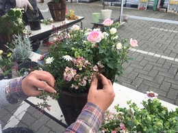 201903231118.jpg